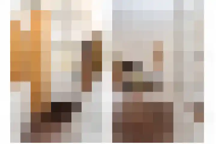 Berkelstraat 69 Utrecht thumbnail 12
