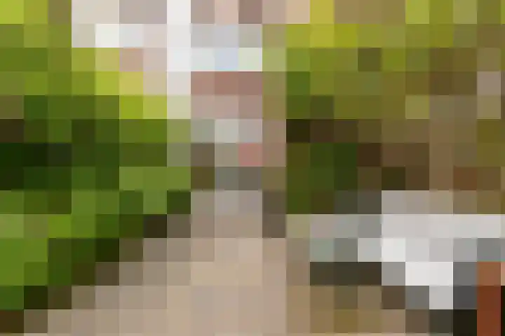 Berkelstraat 69 Utrecht thumbnail 33
