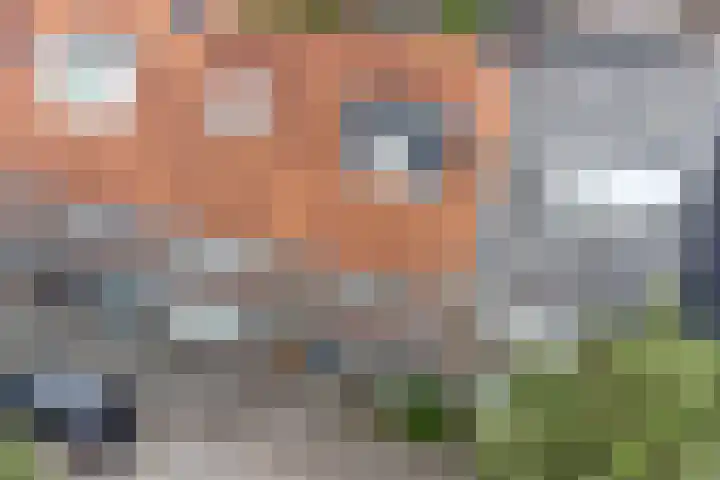 Berkelstraat 69 Utrecht thumbnail 8