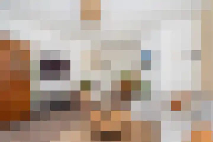 Berkelstraat 69 Utrecht thumbnail 9