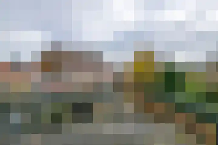 Berkelstraat 7 Geldermalsen thumbnail 16