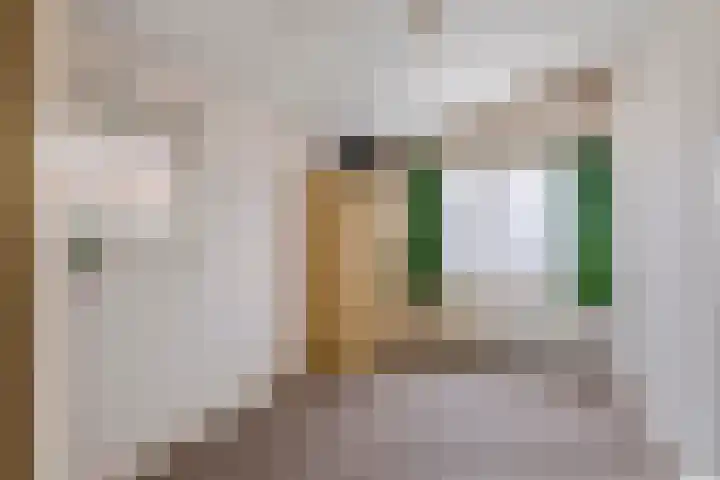 Berkelstraat 7 Geldermalsen thumbnail 18