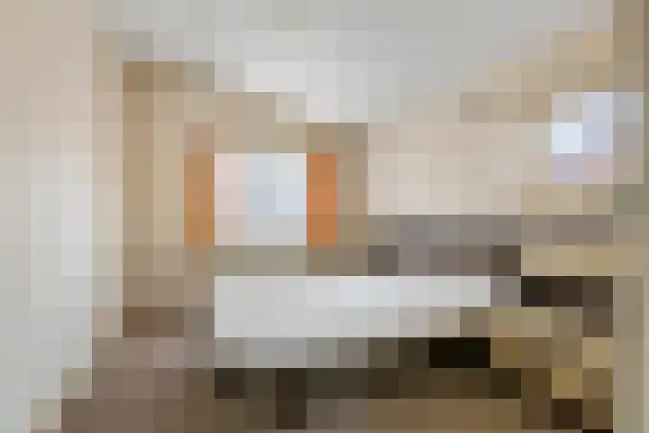 Berkelstraat 7 Geldermalsen thumbnail 21