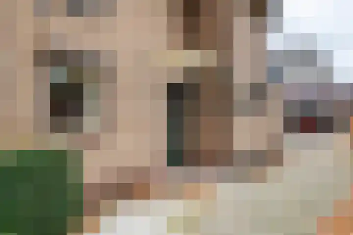 Berkelstraat 7 Geldermalsen thumbnail 25