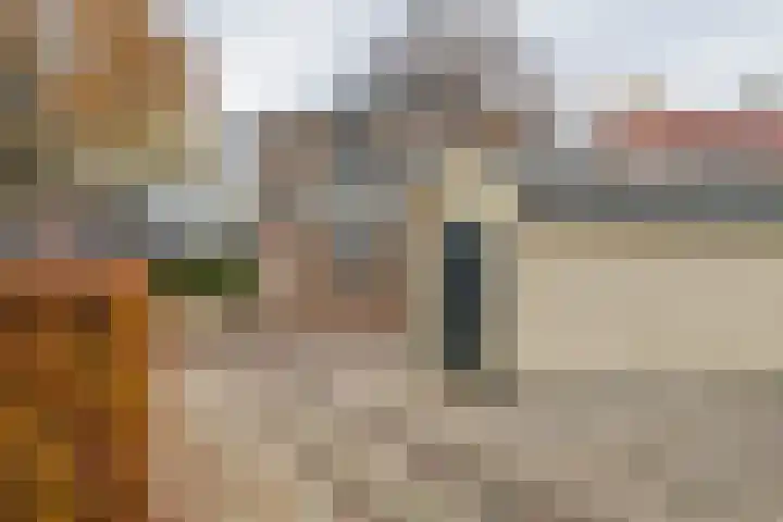 Berkelstraat 7 Geldermalsen thumbnail 28