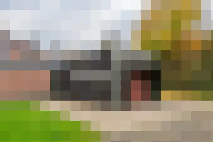 Berkelstraat 7 Geldermalsen thumbnail 30