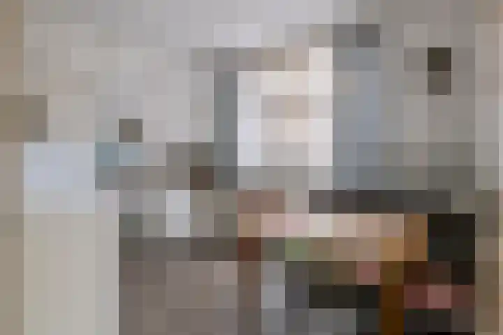 Berkelstraat 7 Geldermalsen thumbnail 6