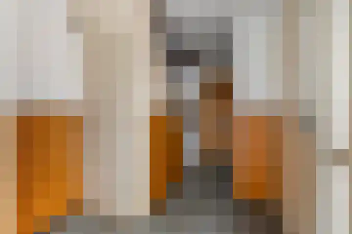 Berkelstraat 7 Geldermalsen thumbnail 9