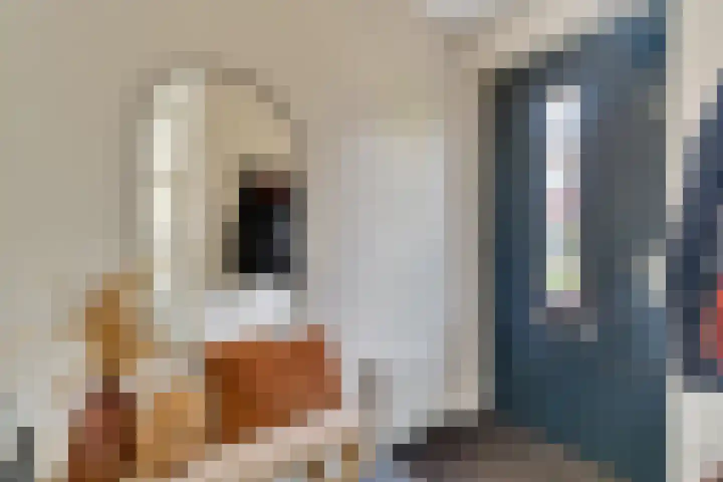 Berkelstraat 7 Nijverdal thumbnail 10