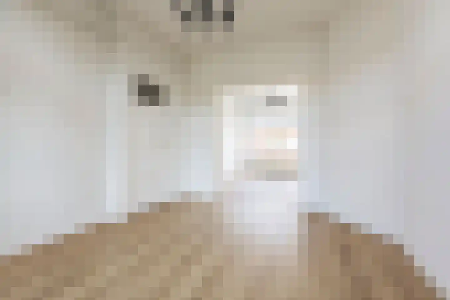 Berkelstraat 9 b Groningen thumbnail 10
