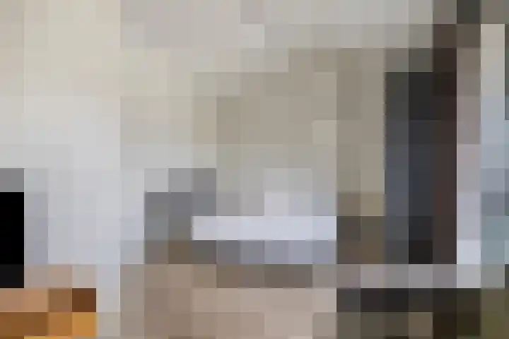 Berkelstroom 105 Zoetermeer thumbnail 58