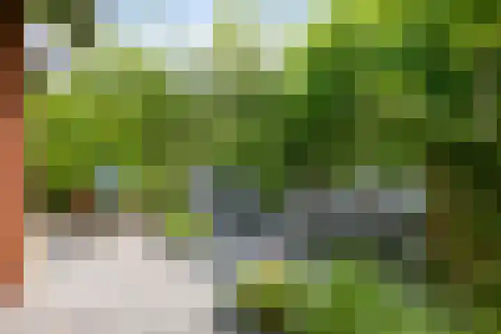 Berkelstroom 105 Zoetermeer thumbnail 63