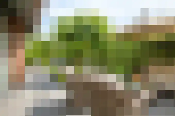 Berkelstroom 105 Zoetermeer thumbnail 66