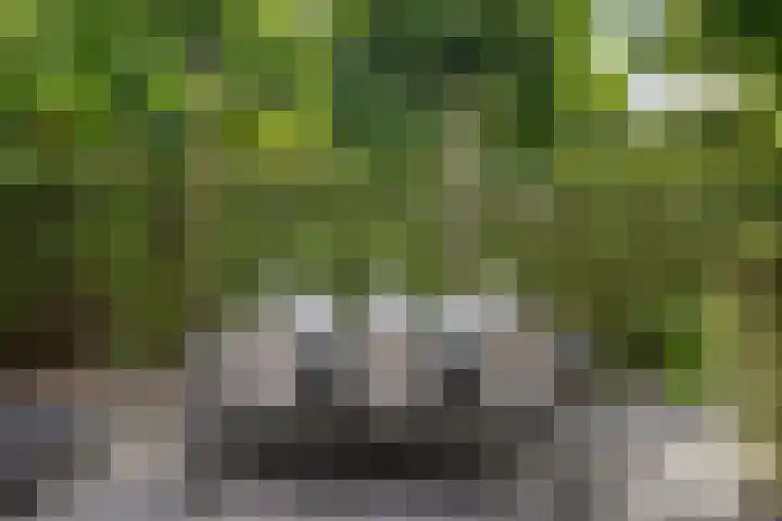 Berkelstroom 105 Zoetermeer thumbnail 67