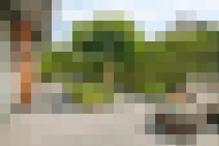 Berkelstroom 105 Zoetermeer thumbnail 74