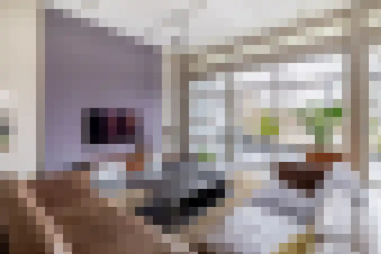Berkelstroom 30 Zoetermeer thumbnail 14
