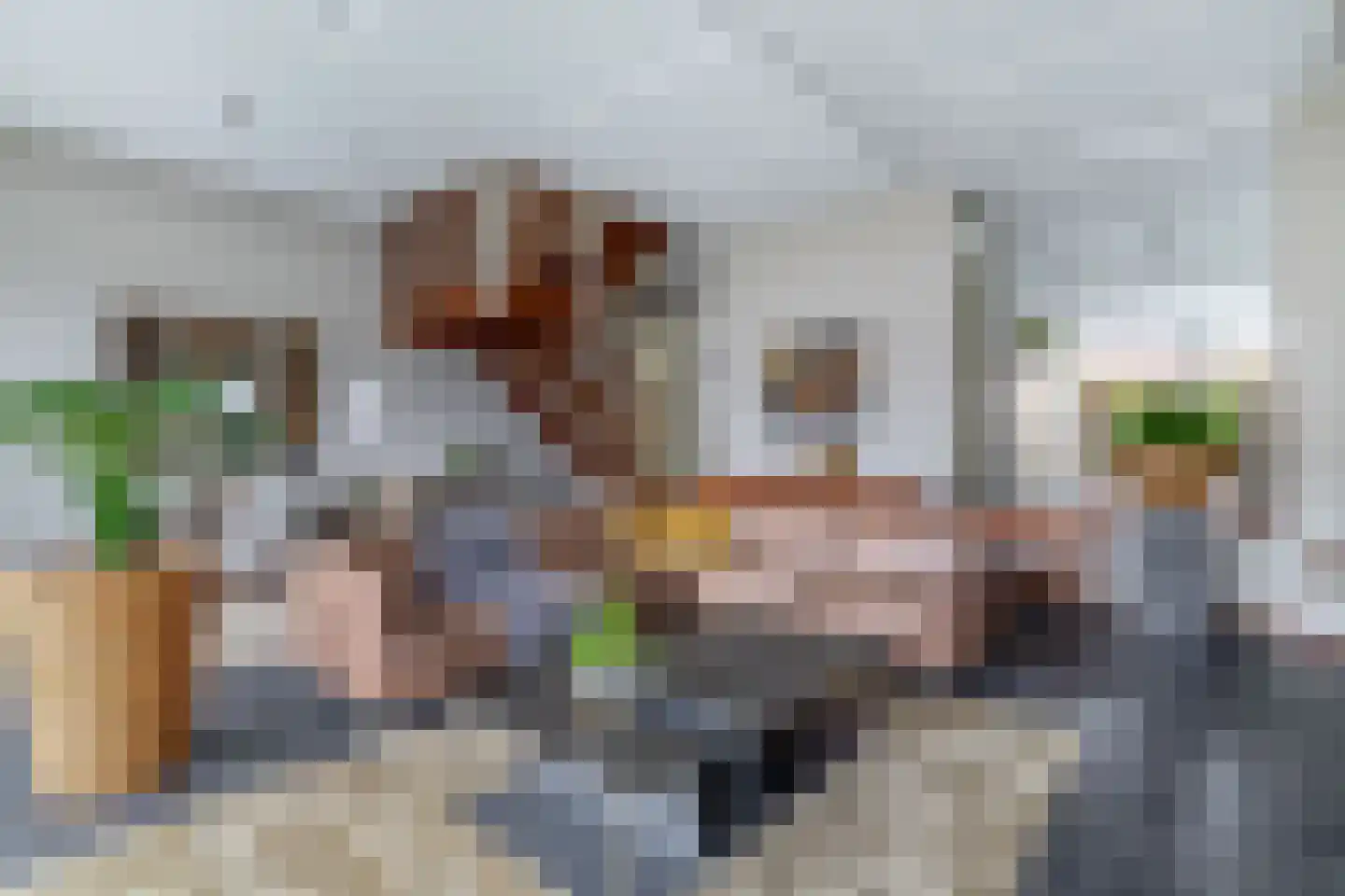 Berkelstroom 30 Zoetermeer thumbnail 16