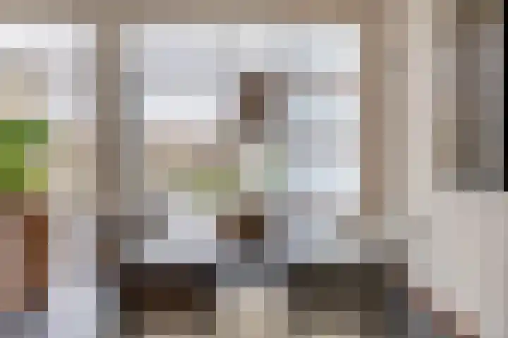 Berkelstroom 30 Zoetermeer thumbnail 17