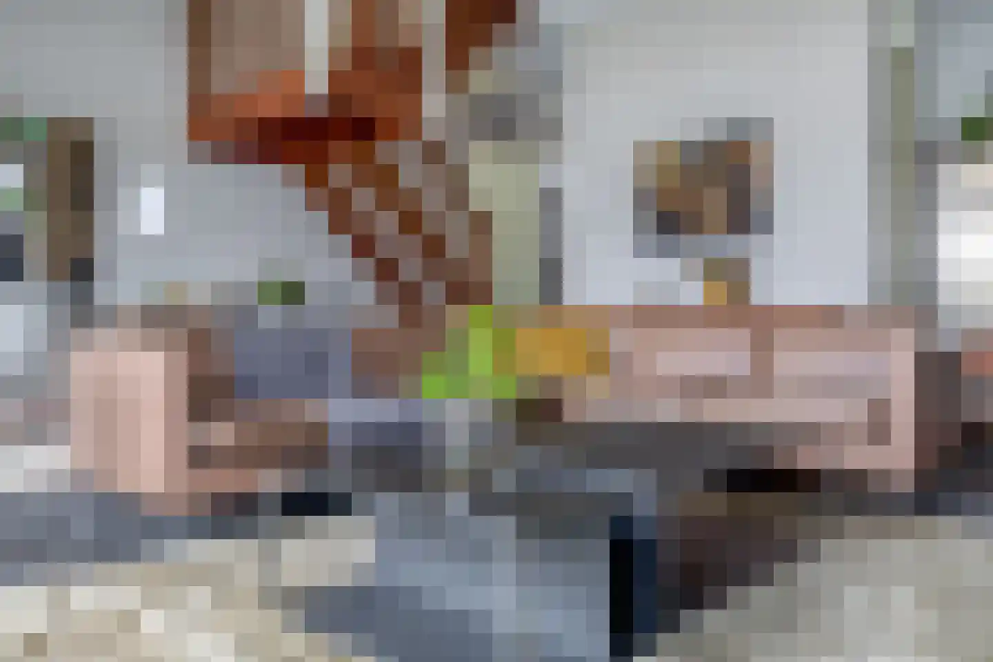 Berkelstroom 30 Zoetermeer thumbnail 18
