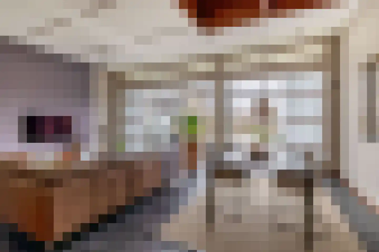 Berkelstroom 30 Zoetermeer thumbnail 21