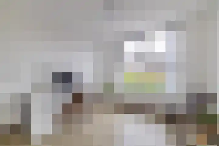 Berkelstroom 30 Zoetermeer thumbnail 51