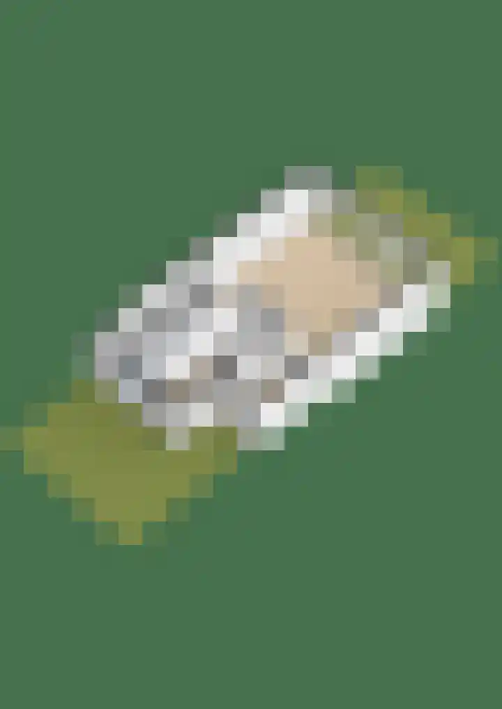 Berkelstroom 30 Zoetermeer thumbnail 67