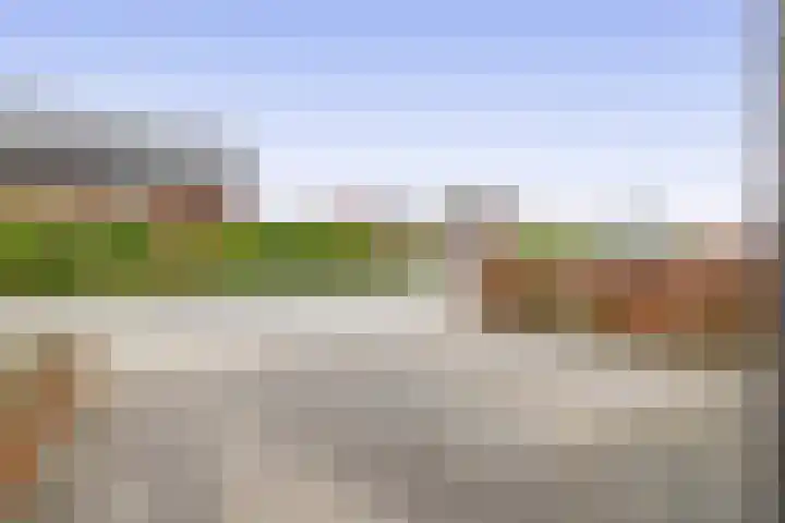 Berkelstroom 30 Zoetermeer thumbnail 8