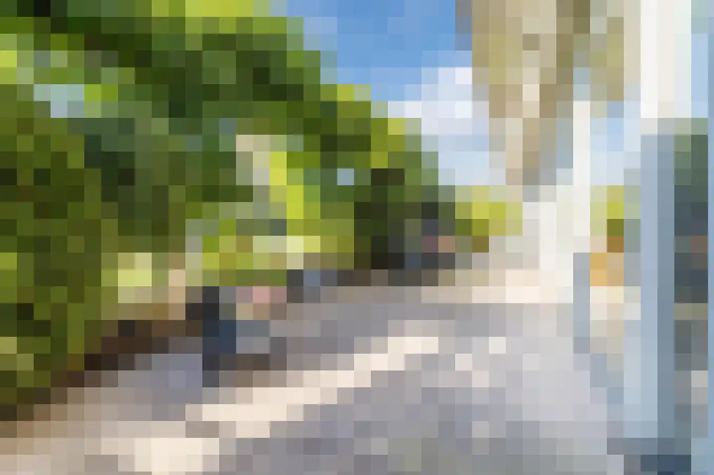 Berkelstroom 40 Zoetermeer thumbnail 23