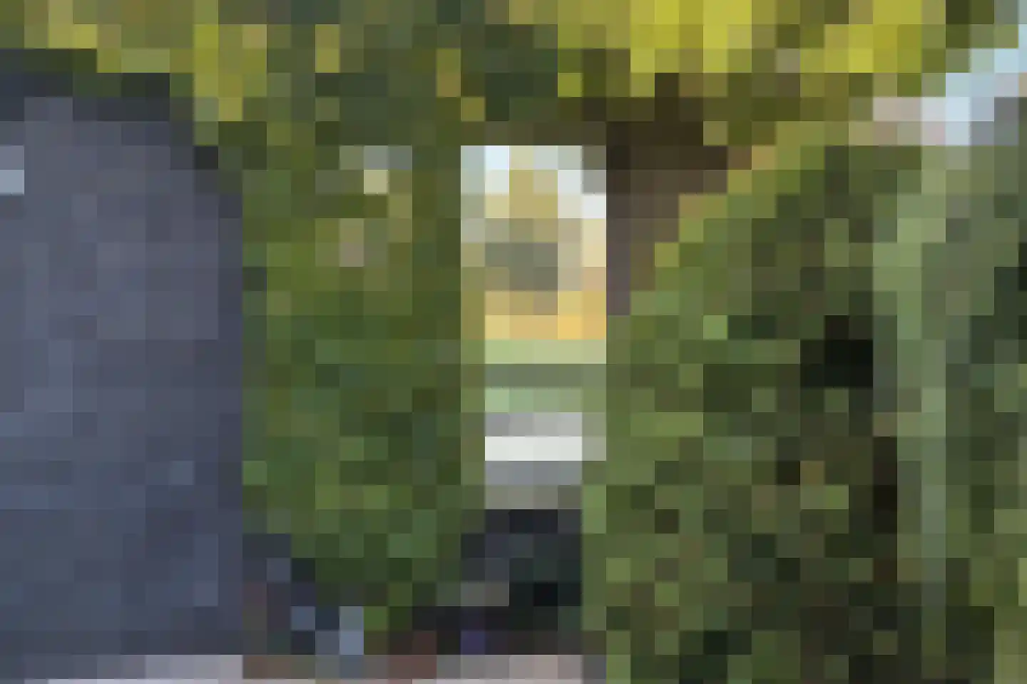 Berkelstroom 40 Zoetermeer thumbnail 25