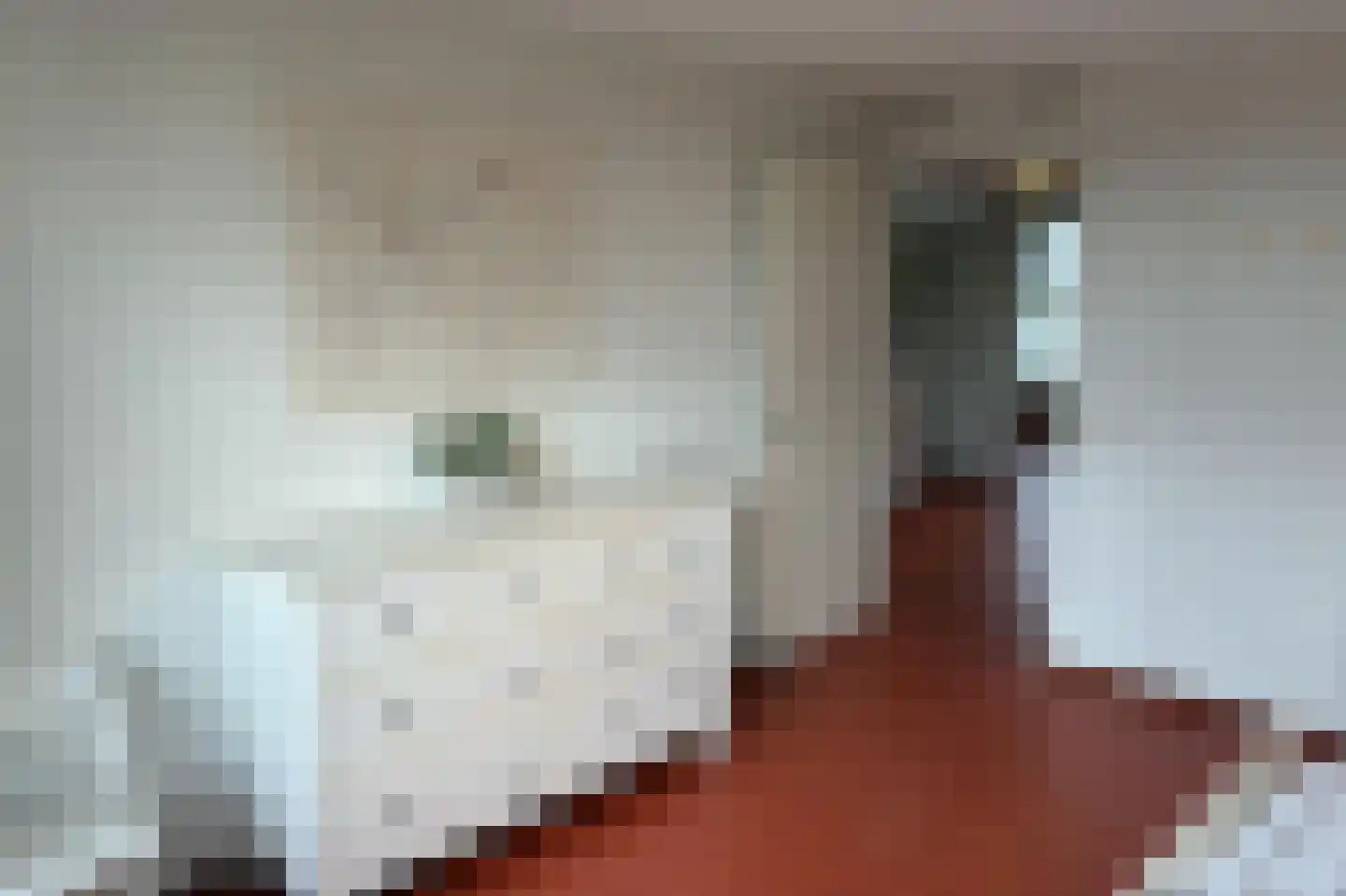 Berkelstroom 40 Zoetermeer thumbnail 41