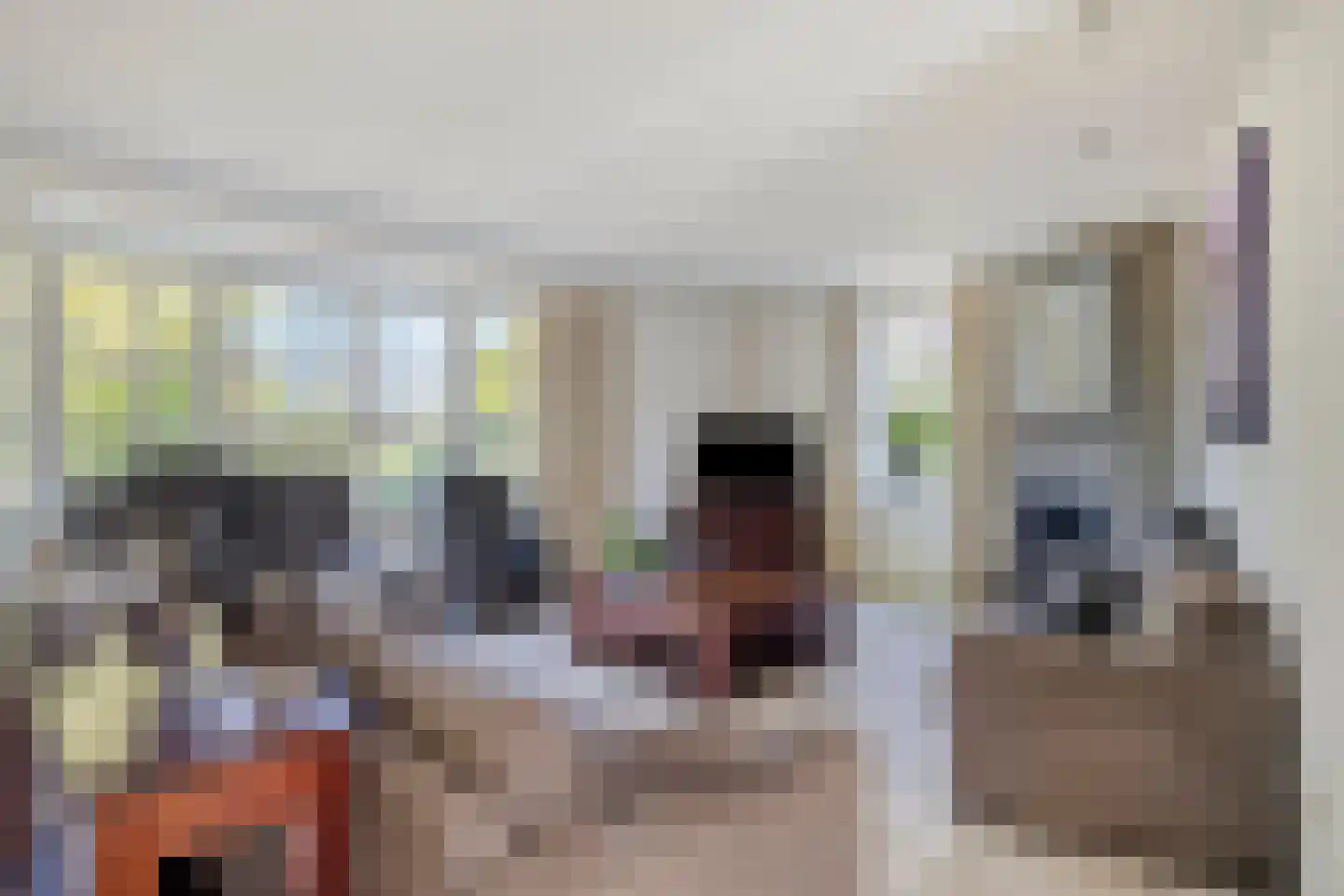 Berkenakker 13 Galder thumbnail 10