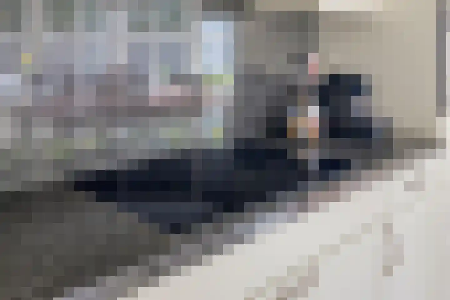 Berkenakker 13 Galder thumbnail 23