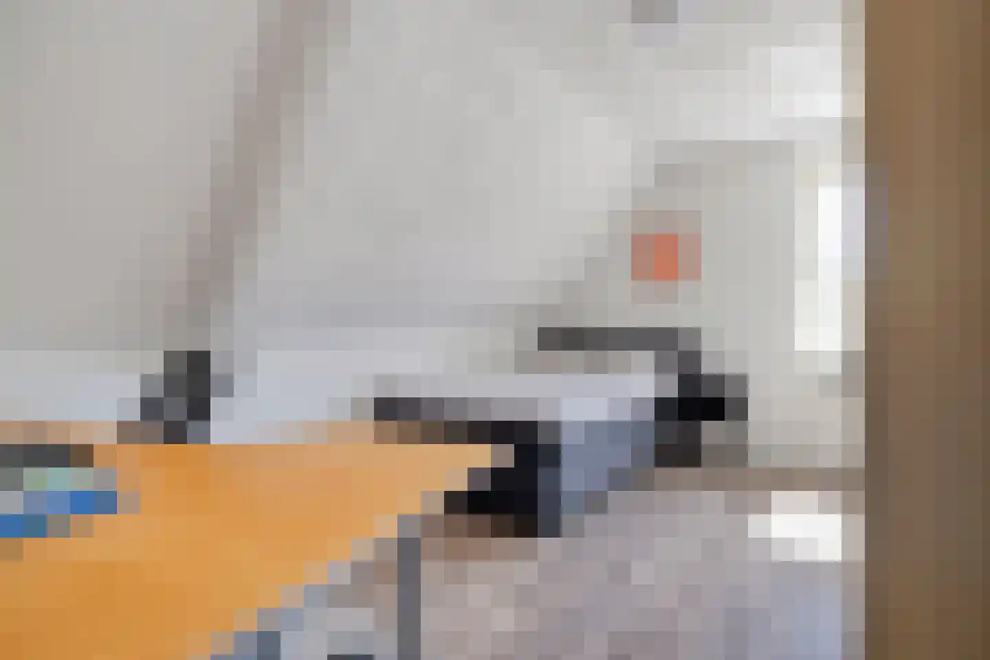 Berkenakker 13 Galder thumbnail 33