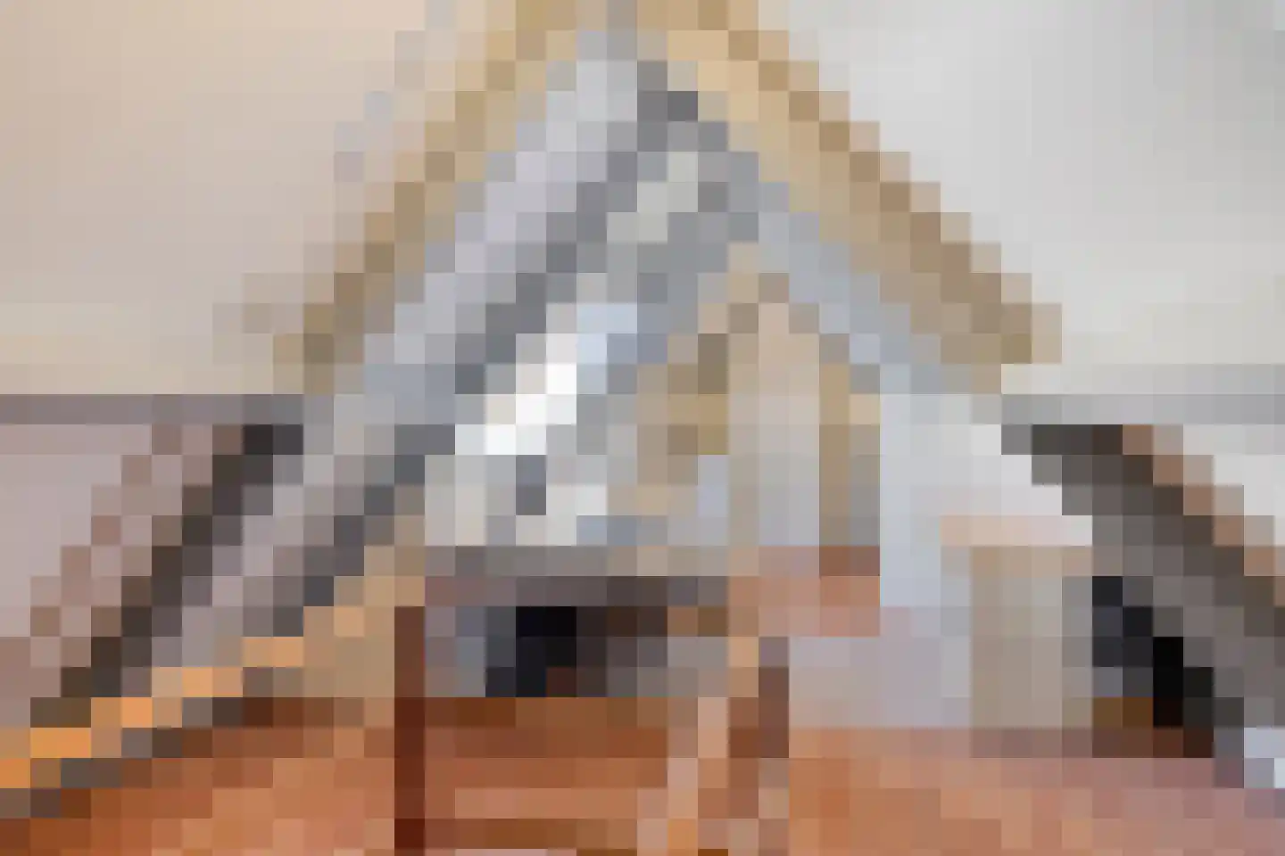 Berkenakker 13 Galder thumbnail 40