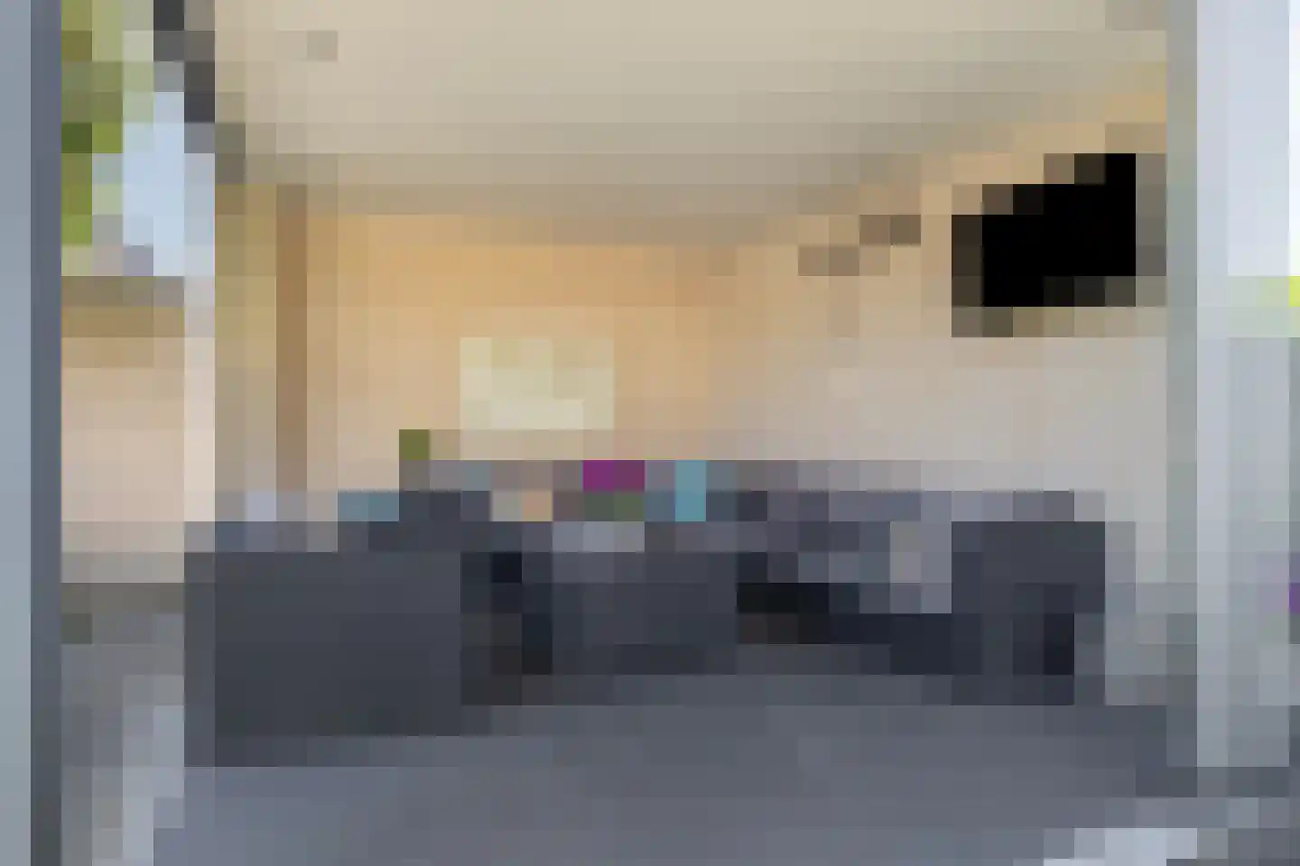Berkenakker 13 Galder thumbnail 51