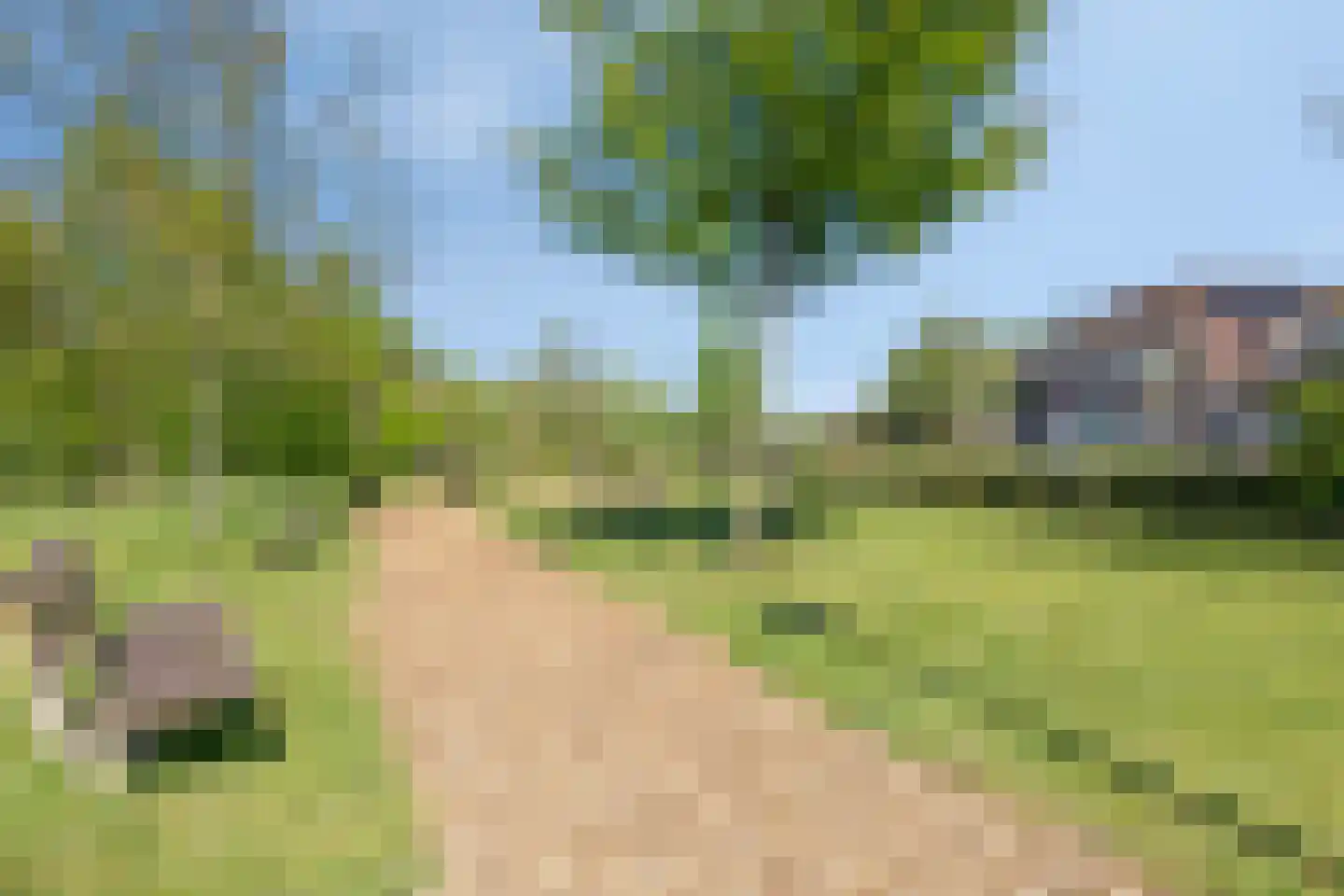 Berkenakker 13 Galder thumbnail 59