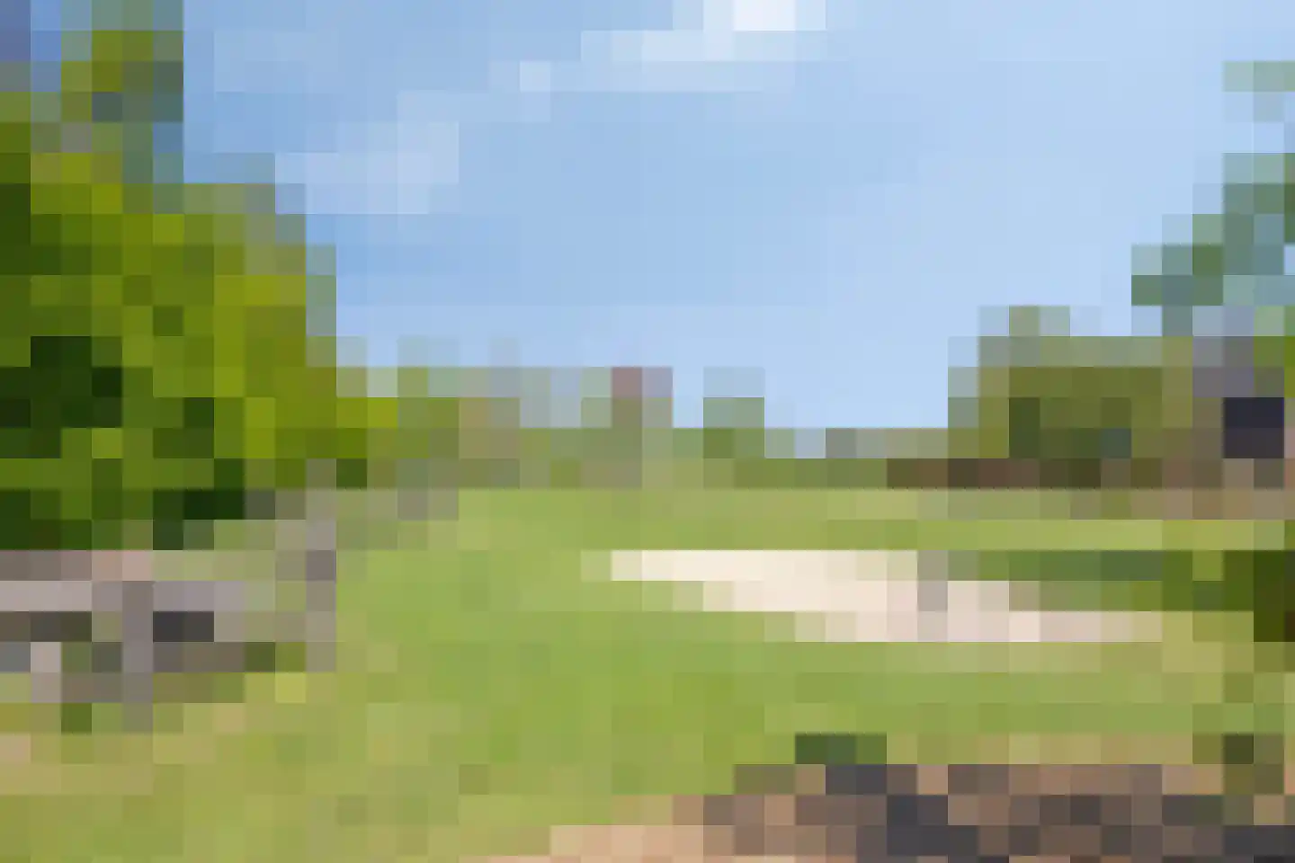 Berkenakker 13 Galder thumbnail 60