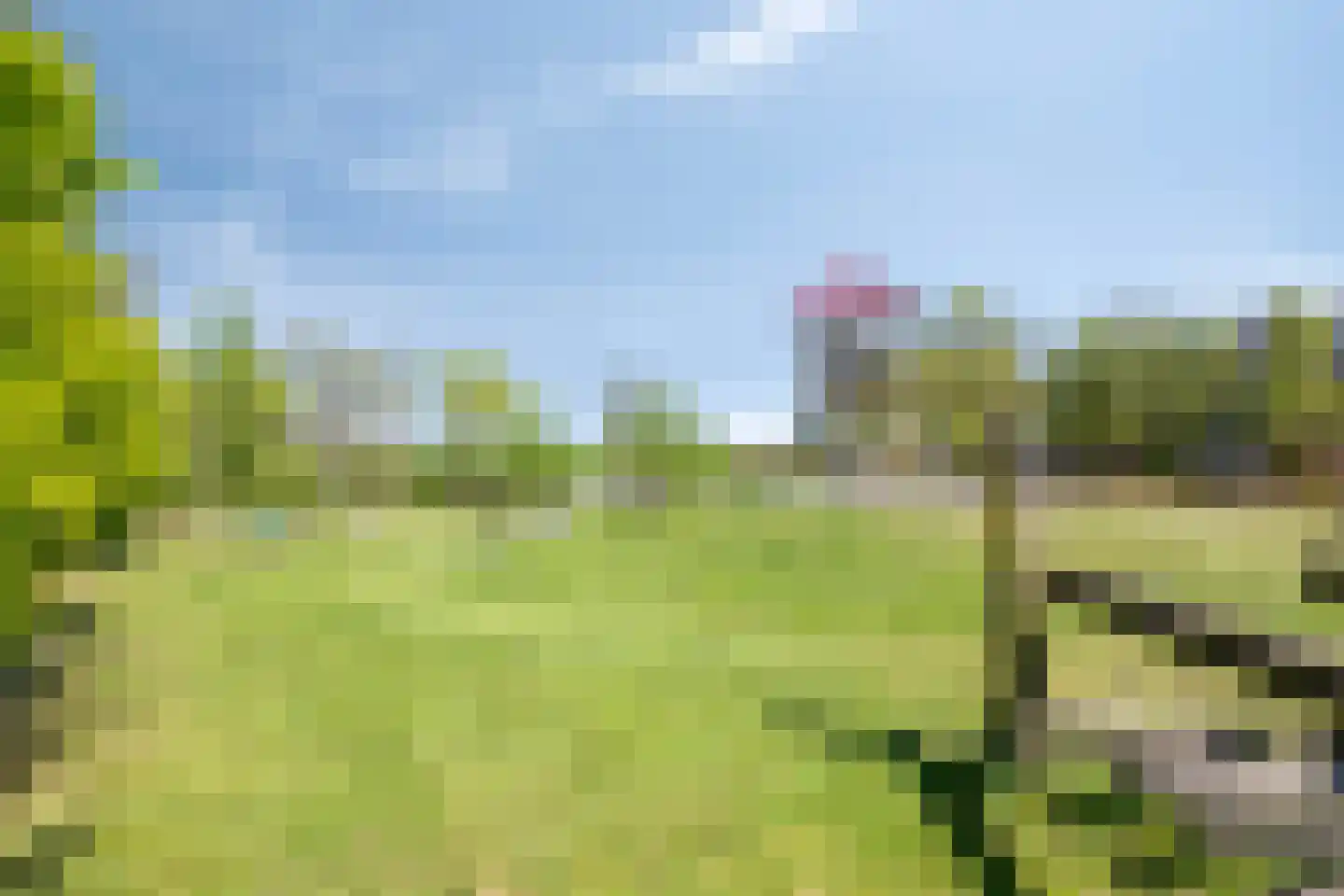 Berkenakker 13 Galder thumbnail 61