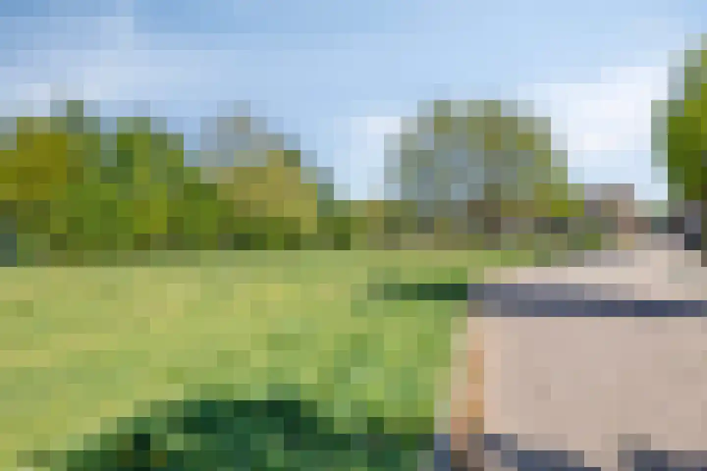 Berkenakker 13 Galder thumbnail 62