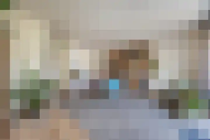 Berkenakker 2 Galder thumbnail 16
