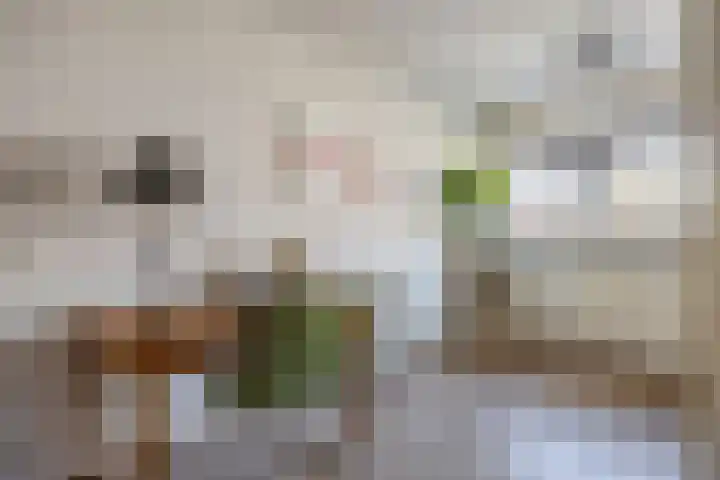 Berkenakker 2 Galder thumbnail 28