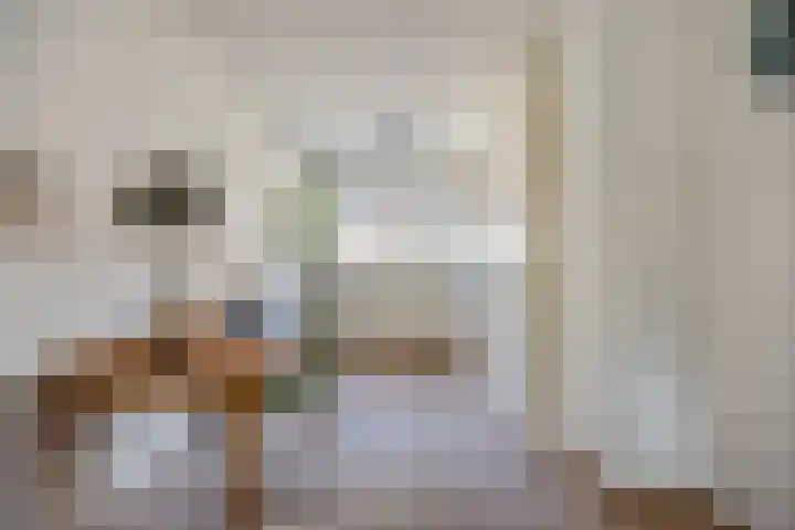 Berkenakker 2 Galder thumbnail 29