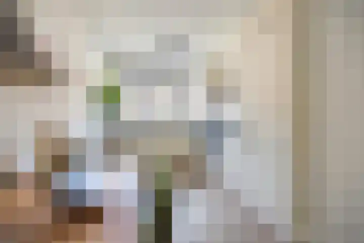 Berkenakker 2 Galder thumbnail 30