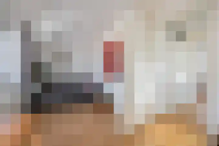 Berkenakker 2 Galder thumbnail 45