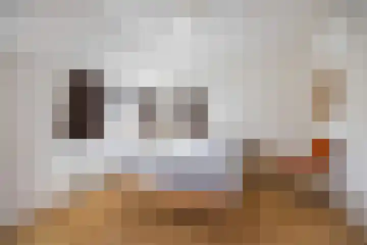 Berkenakker 2 Galder thumbnail 48