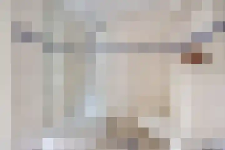 Berkenakker 2 Galder thumbnail 54