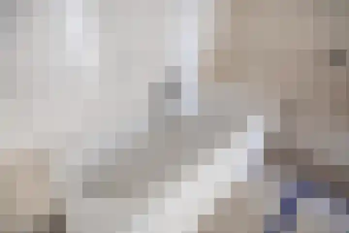 Berkenakker 2 Galder thumbnail 55