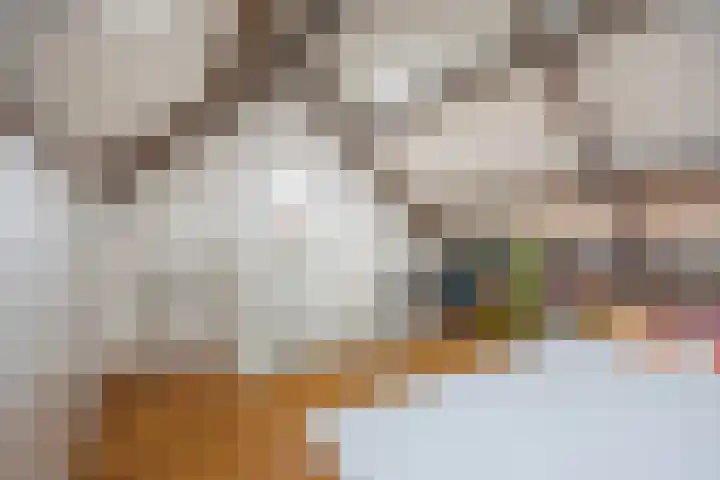 Berkenakker 2 Galder thumbnail 57