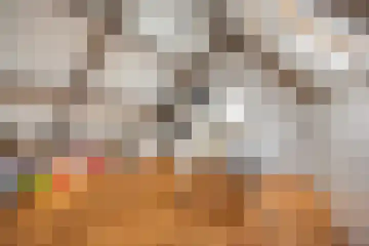 Berkenakker 2 Galder thumbnail 58