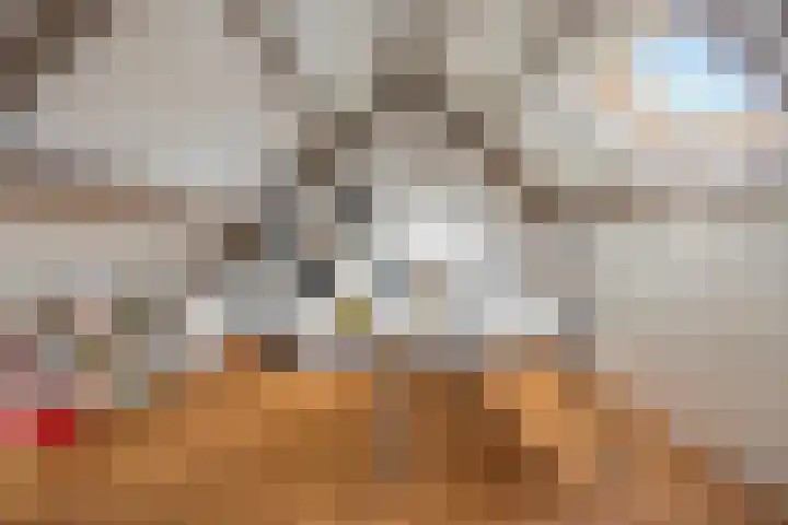 Berkenakker 2 Galder thumbnail 59